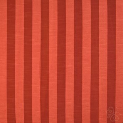 Ascot Stripe Spice