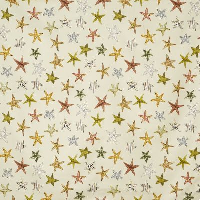 Starfish Sand