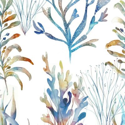 Coral Reef Cobalt