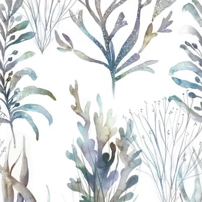 Coral Reef Slate