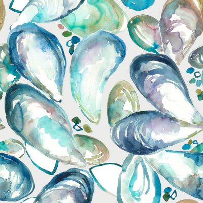 Mussel Shells Marine