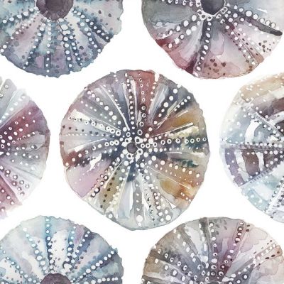 Sea Urchins Abalone