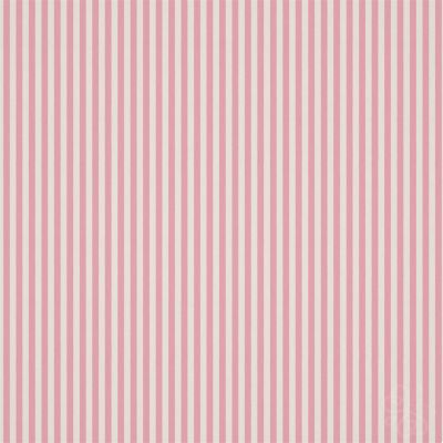 Carnival Stripe Blossom - 133539