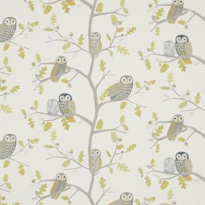 Little Owls Kiwi