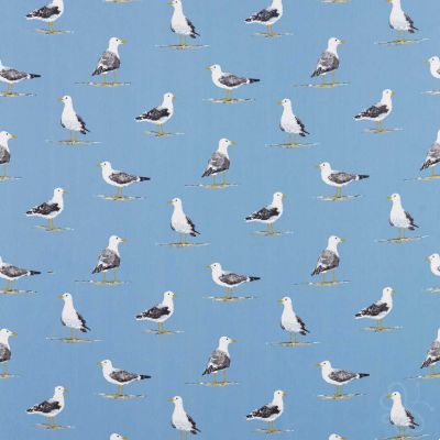 Shore Birds Marine