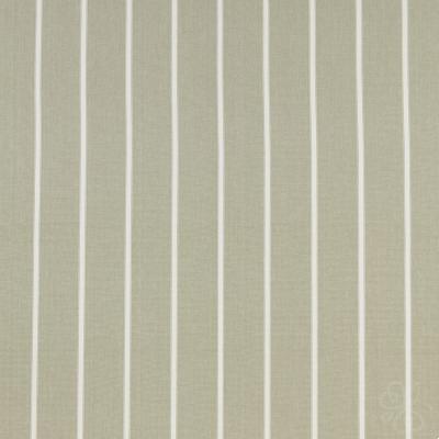 Waterbury Willow