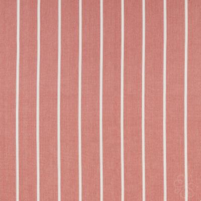 Waterbury Raspberry