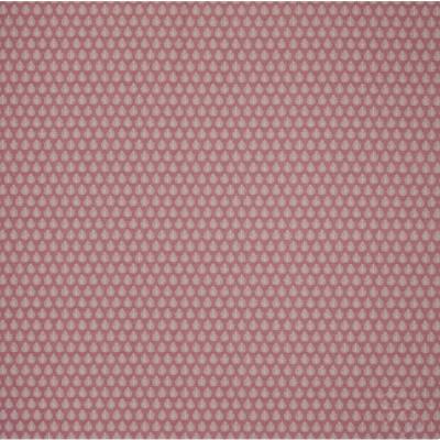 Jaipur Raspberry