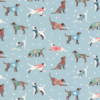 Dapper Dogs Seafoam