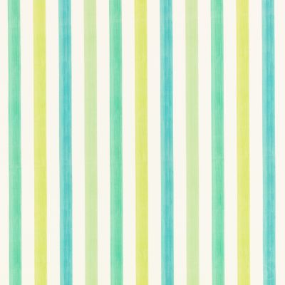 Candy Cane Rainforest