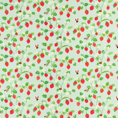 Strawberry Patch