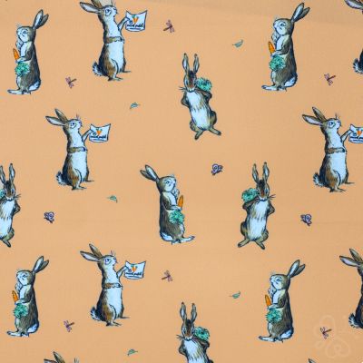 Winnie Characters Rabbit