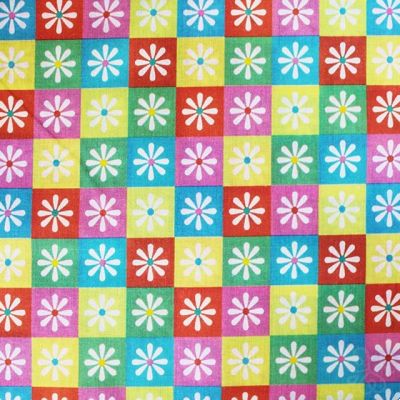 Checkered Daisy