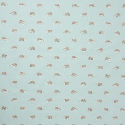 Hedgehogs