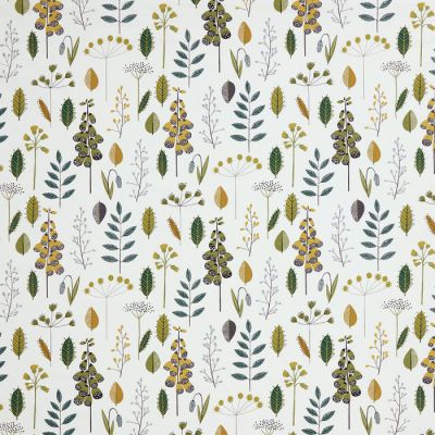 Amala Spruce