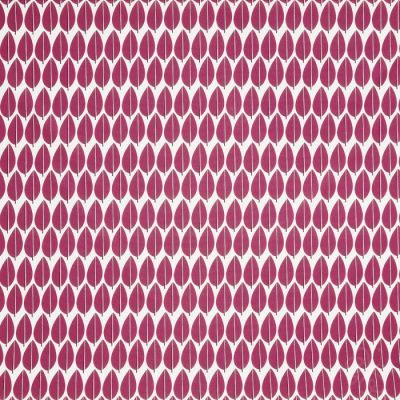 Lazza Cerise