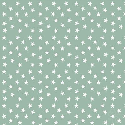 Little Star Neptune