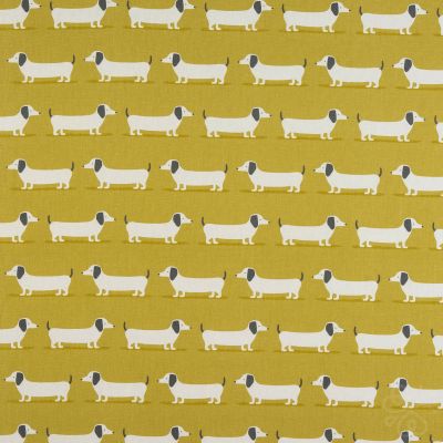 Hound Dog Ochre