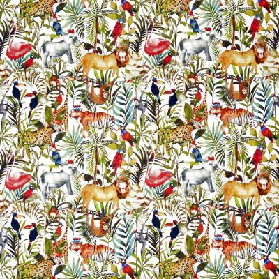King of the Jungle Safari