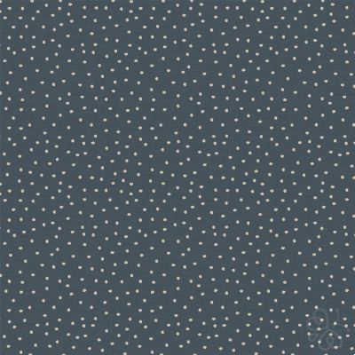 Spotty Midnight
