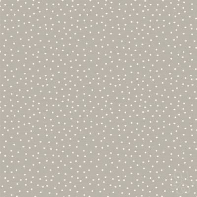 Spotty Dove