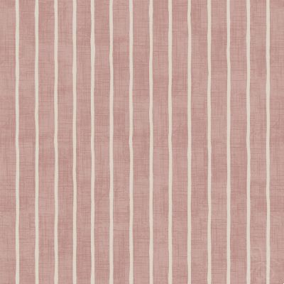 Pencil Stripe Rose