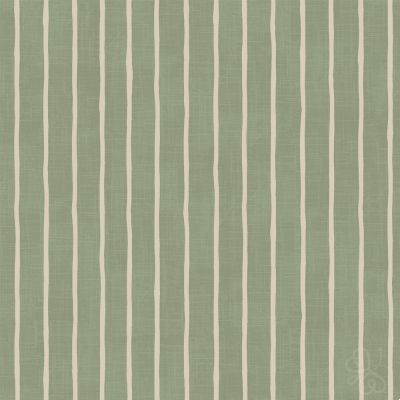 Pencil Stripe Lichen