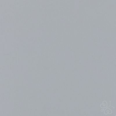 Polaris Grey